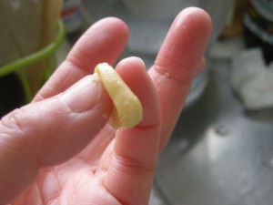 煮上がった大豆が親指と小指に挟まれてつぶれている